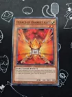 Herald of Orange Light