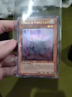Herald of Purple Light