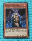 Horus' Servant