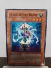 Inaba White Rabbit