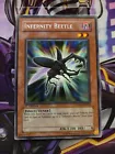Infernity Beetle