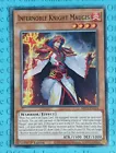 Infernoble Knight Maugis