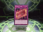 Present Card