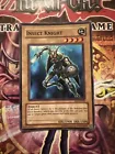 Insect Knight