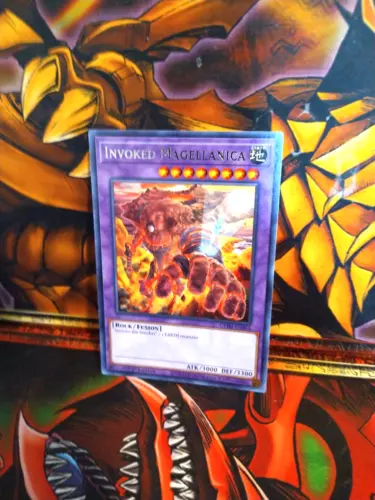 Invoked Magellanica