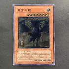 Judgment Dragon