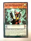 Kai-Den Kendo Spirit