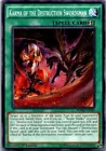 Karma of the Destruction Swordsman