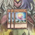 Majestic Dragon