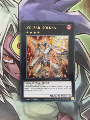 Evolzar Dolkka