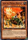 Koa'ki Meiru Beetle