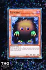 Kuriboh