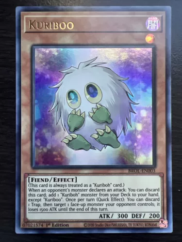 Kuriboo