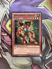 Amazoness Fighter