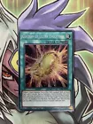 Cocoon of Ultra Evolution