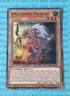 Amazoness Princess