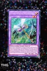 Legendary Knight Timaeus