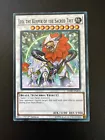 Card of Sanctity