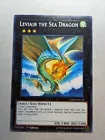 Number 17: Leviathan Dragon