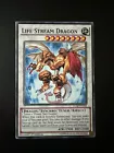 White Night Dragon