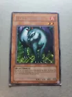Little Chimera