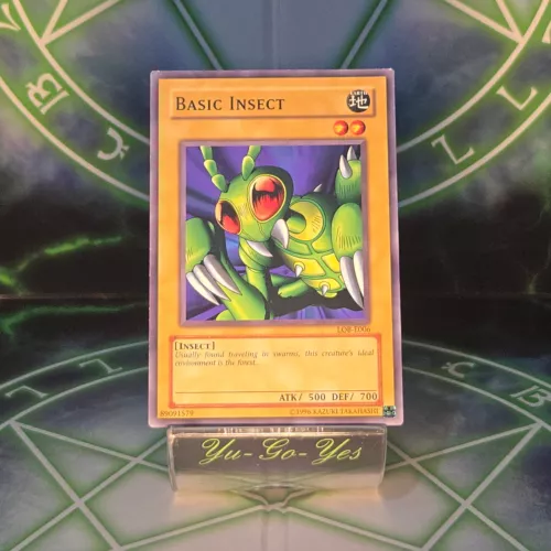 Basic Insect