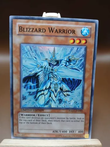 Blizzard Warrior