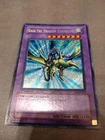 Gaia the Dragon Champion
