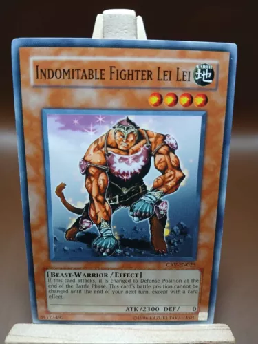 Indomitable Fighter Lei Lei