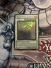 Black Rose Dragon