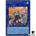 Lyna the Light Charmer