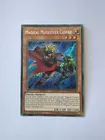 Secret Sect Druid Wid