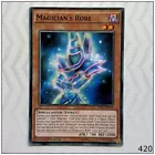 Magician's Robe