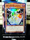 Rainbow Dragon