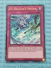 Ice Dragon's Prison