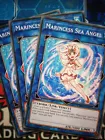 Marincess Sea Angel