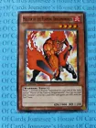 Master of the Flaming Dragonswords