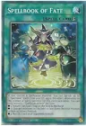 Spellbook of Fate