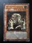 Megarock Dragon