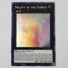 Melffy of the Forest