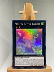 Melffy of the Forest