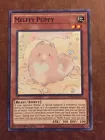 Melffy Puppy