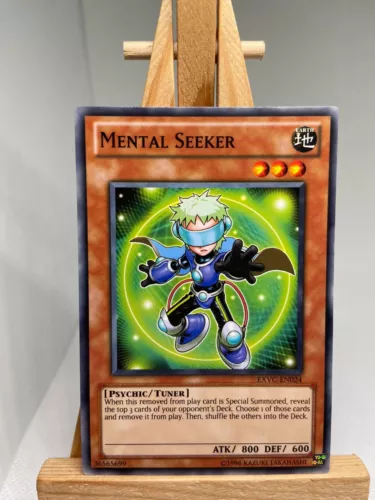 Mental Seeker