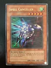 Spell Canceller