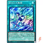 Mikanko Water Arabesque