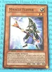 Miracle Flipper