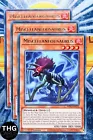Miscellaneousaurus