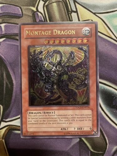 Montage Dragon