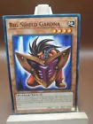 Big Shield Gardna