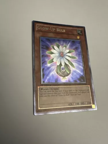 Glow-Up Bulb